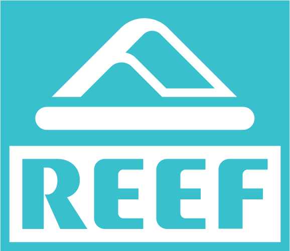 reef logo | Publish-ready content
